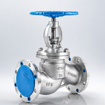 Globe Valve